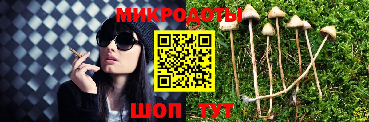 Галлюциногенные грибы GOLDEN TEACHER Арзамас
