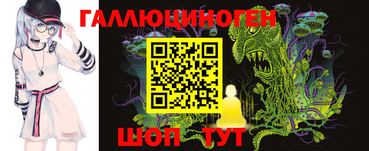Галлюциногенные грибы Psilocybe  Вход с VPN  Арзамас  Галлюциногенные грибы прущие грибы 